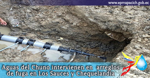 Aguas del Chuno intervienen en arreglos de fugas en Los Sauces y Chequelandia